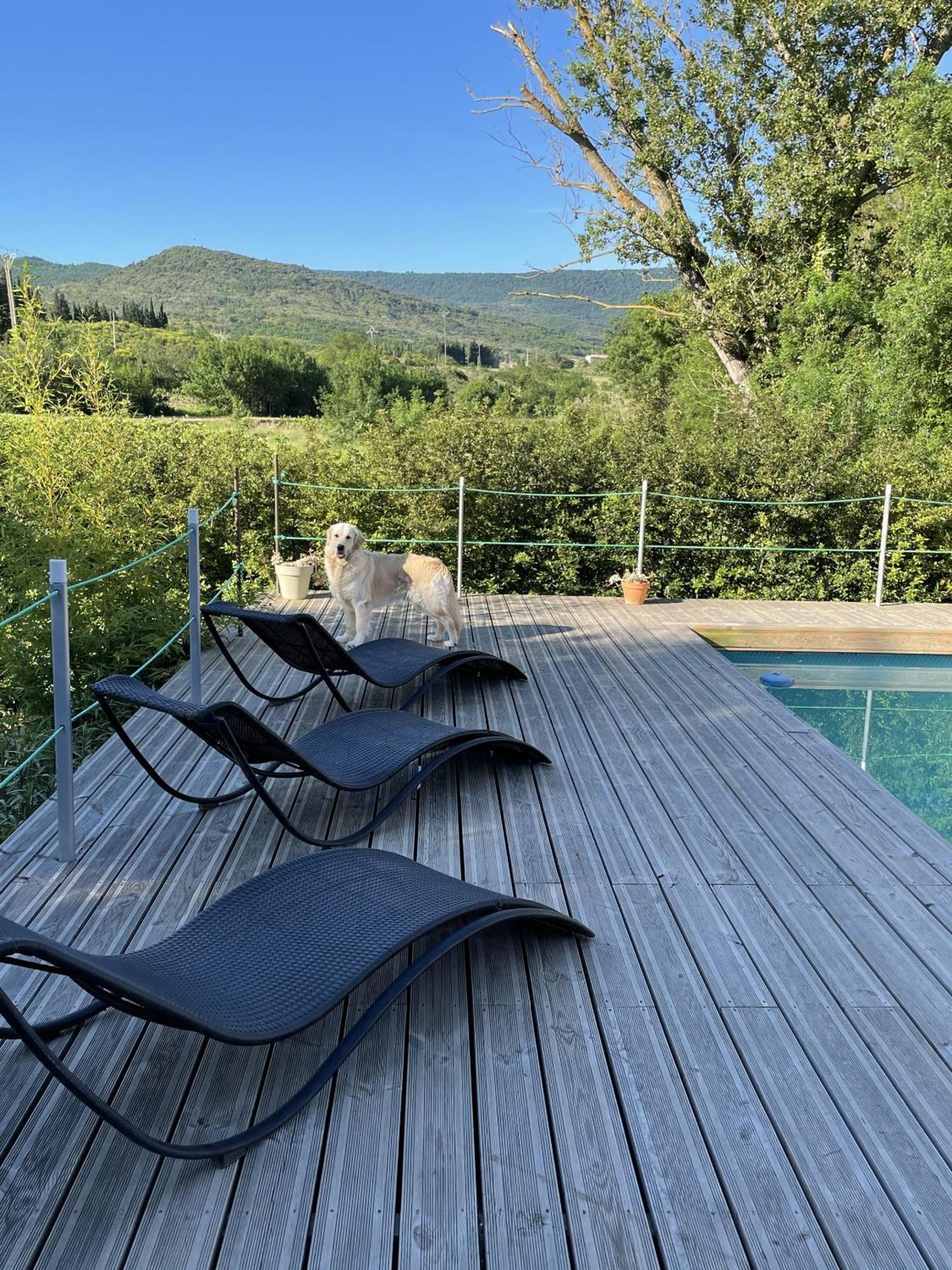 Le Domaine De La Tuilerie - Gite De Charme En Bord De Riviere Avec Piscine Servies-en-Val Εξωτερικό φωτογραφία