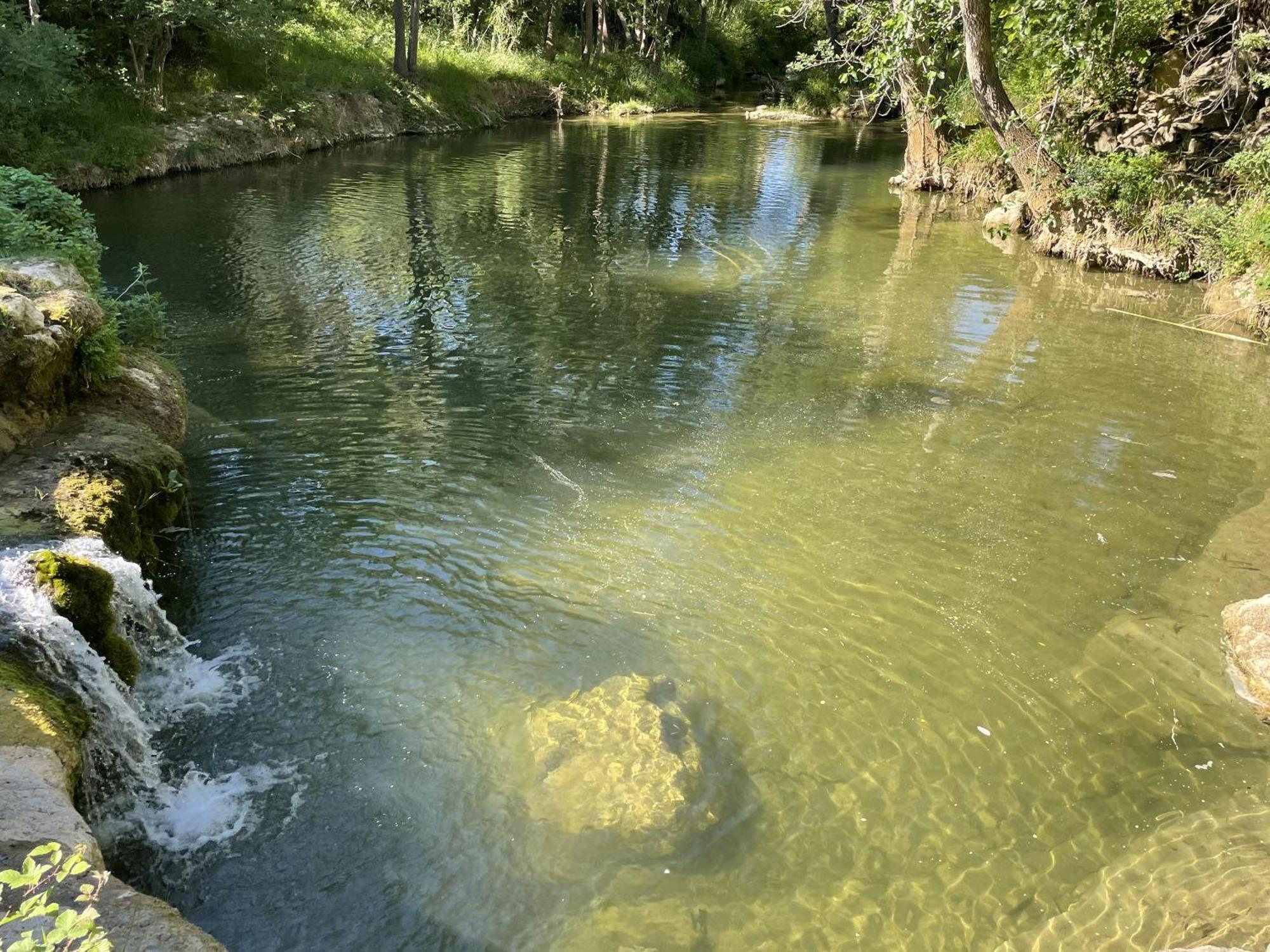 Le Domaine De La Tuilerie - Gite De Charme En Bord De Riviere Avec Piscine Servies-en-Val Εξωτερικό φωτογραφία