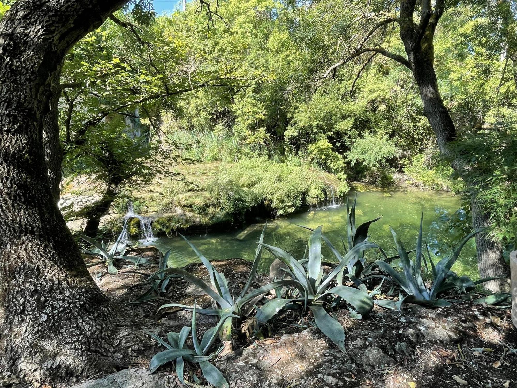 Le Domaine De La Tuilerie - Gite De Charme En Bord De Riviere Avec Piscine Servies-en-Val Δωμάτιο φωτογραφία